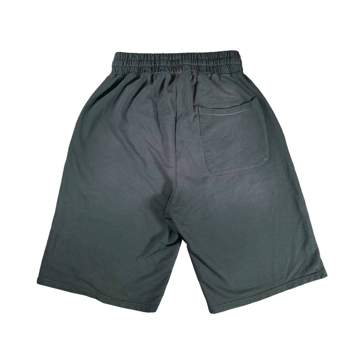 INTL Core Greenary Sweatshorts